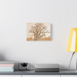 Inspiring Baobab Tree Canvas